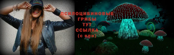 тгк Новокубанск
