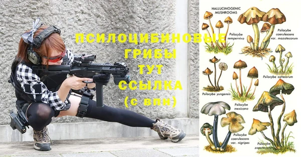 мяу мяу кристалл Няндома
