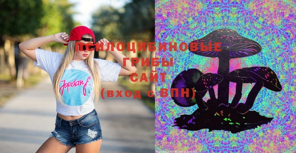 мяу мяу кристалл Няндома