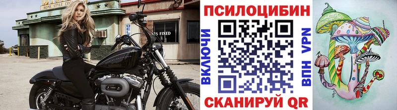 дарнет шоп  Заполярный  Псилоцибиновые грибы мухоморы 